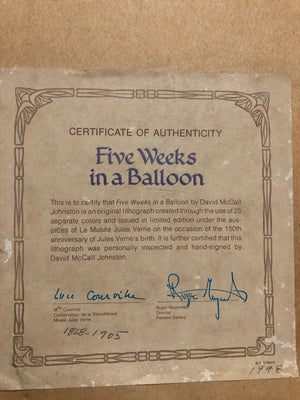 Five Weeks in a Ballon by David McCall Johnston